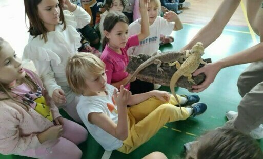 Zdjęcie do Warsztaty egzotyczne 