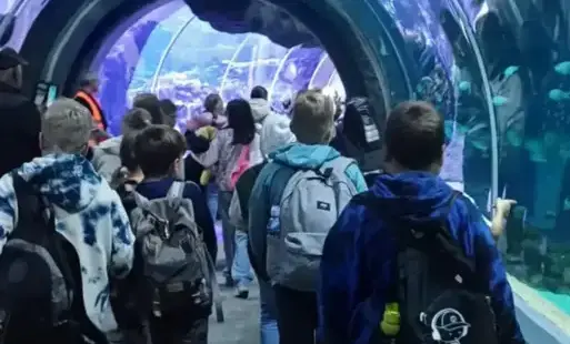 Zdjęcie do Wycieczka do Orientarium w Łodzi